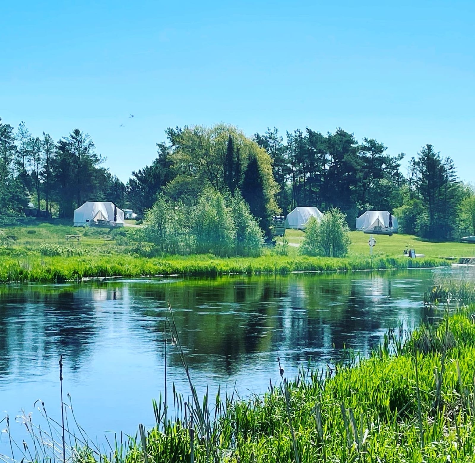 Velkommen til Søhøjlandets Camping