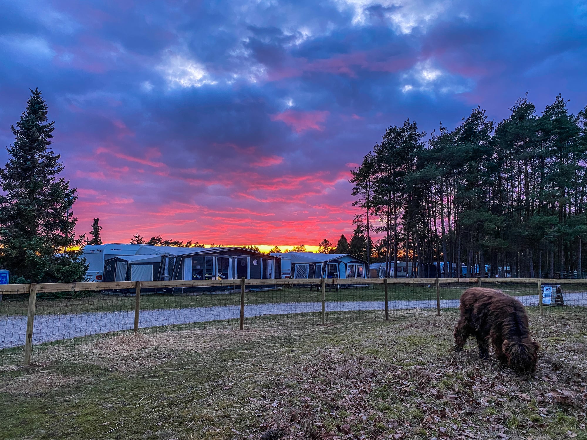 Velkommen til Søhøjlandets Camping